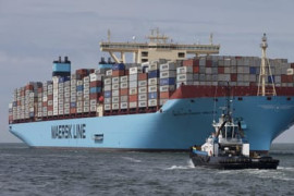 Thumbnail for 7031708