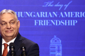 Thumbnail for 7031739