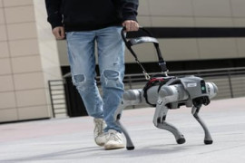 Thumbnail for 7031749