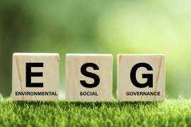 Thumbnail for 7031832