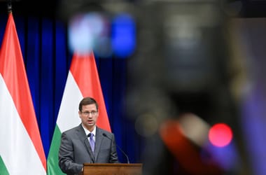 Thumbnail for 7031845