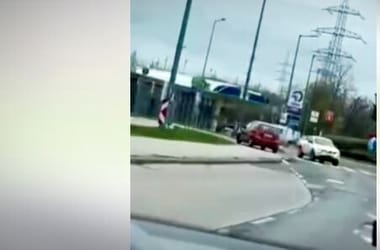 Thumbnail for 7031848