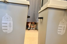 Thumbnail for 7031850