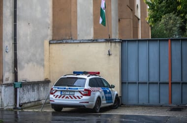 Thumbnail for 7031911