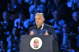 Thumbnail for 7031915