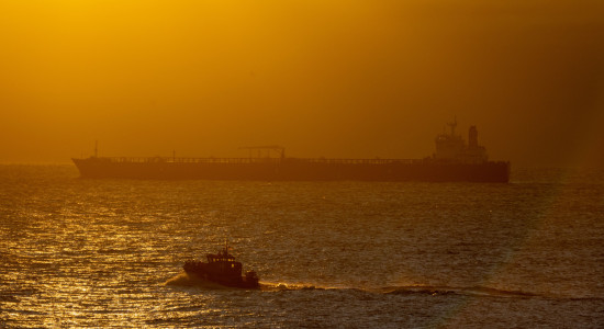 Thumbnail for 7031936