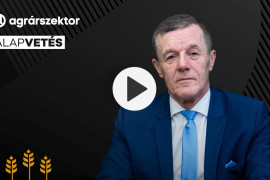 Thumbnail for 7031945