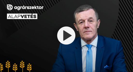 Thumbnail for 7031945