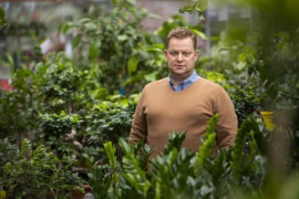 Thumbnail for 7031975