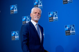 Thumbnail for 7032158