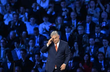 Thumbnail for 7032794