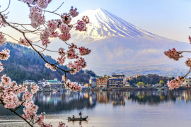 Thumbnail for 7032797