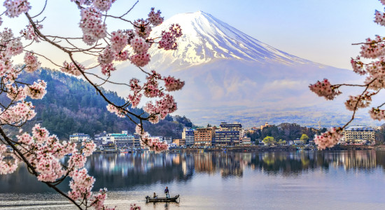 Thumbnail for 7032797