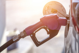 Thumbnail for 7033031