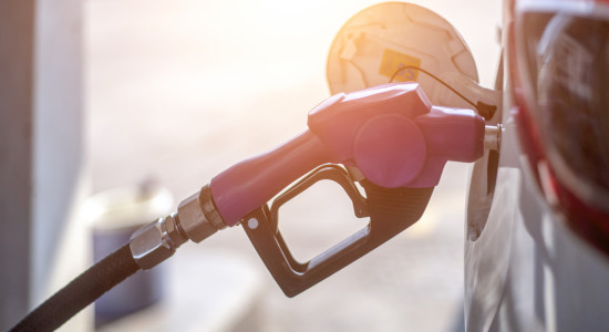 Thumbnail for 7033031