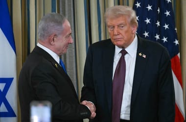 Thumbnail for 7033154