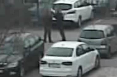 Thumbnail for 7033169