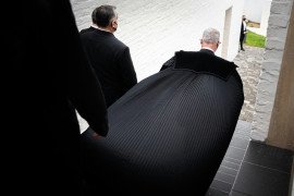 Thumbnail for 7033218