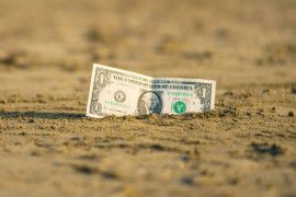 Thumbnail for 7033456