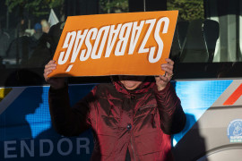 Thumbnail for 7033565