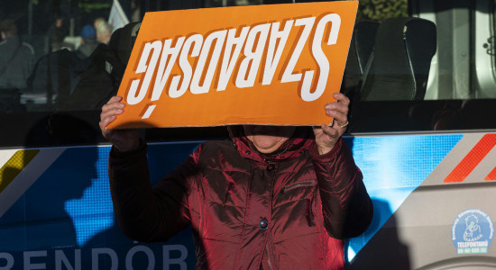 Thumbnail for 7033565