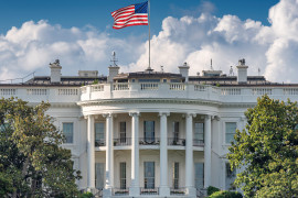 Thumbnail for 7033571