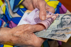 Thumbnail for 7033579