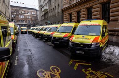 Thumbnail for 7033882