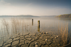 Thumbnail for 7034249