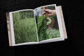 Thumbnail for 7034917