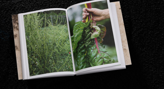 Thumbnail for 7034917