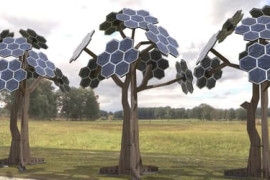 Thumbnail for 7034955