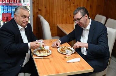 Thumbnail for 7035148