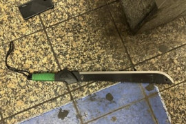 Thumbnail for 7035304