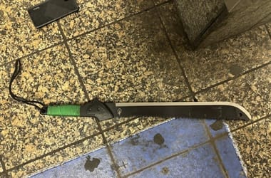 Thumbnail for 7035304