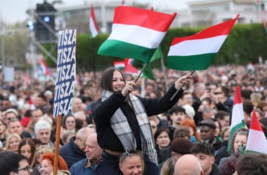 Thumbnail for 7035337