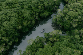 Thumbnail for 7035738