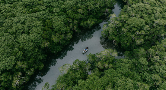 Thumbnail for 7035738