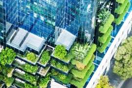 Thumbnail for 7035998