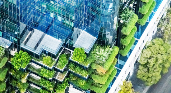 Thumbnail for 7035998