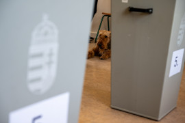 Thumbnail for 7036014