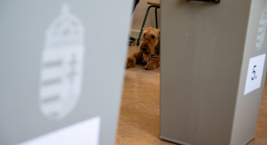 Thumbnail for 7036014