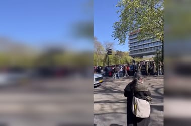 Thumbnail for 7036033