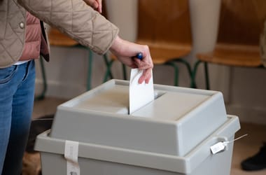 Thumbnail for 7036114