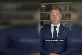 Thumbnail for 7036133