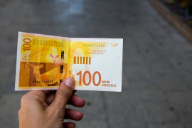 Thumbnail for 7036186