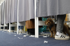 Thumbnail for 7036225