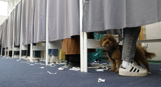 Thumbnail for 7036225