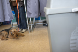 Thumbnail for 7036283