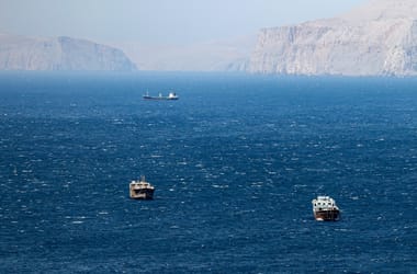 Thumbnail for 7036324